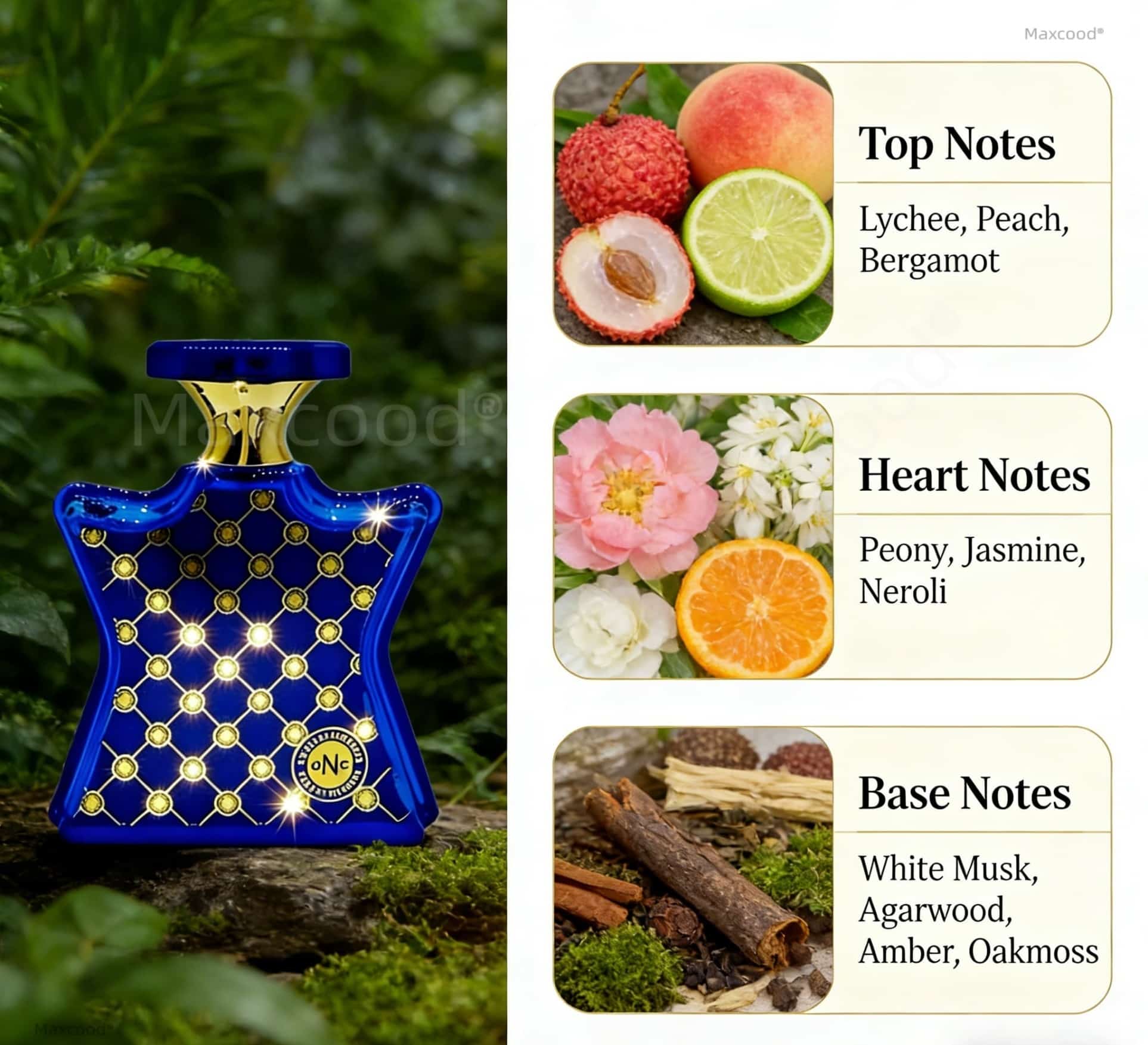 عطر حمضيات وزهور يدوم طويلاً،  - مراجعة Perfume High Fragrance وسعره