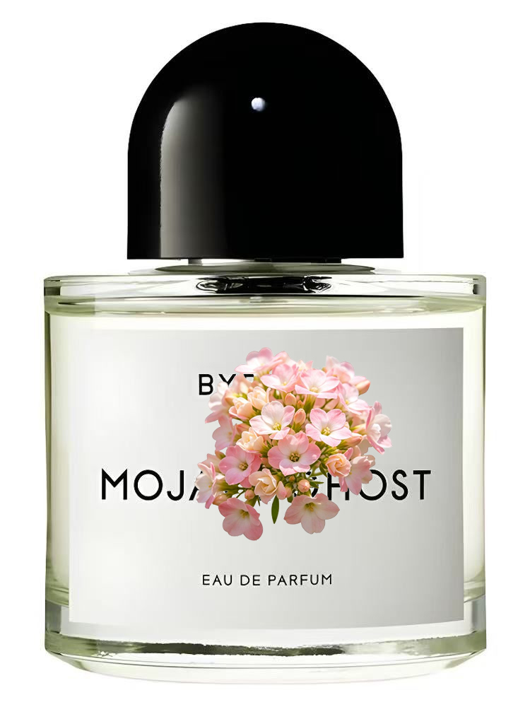 عطر للجنسين 100 مل 3.4 أونصة س - مراجعة Perfume Luxury Fragrance وسعره